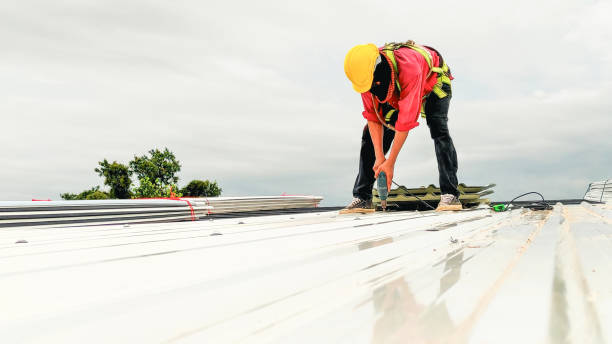 Best Roof Inspection  in Montgomery, MN