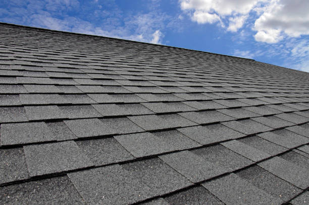 Best Steel Roofing  in Montgomery, MN