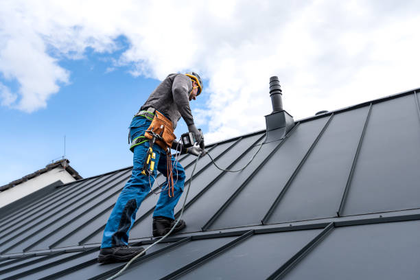 Best Gutter Installation and Repair  in Montgomery, MN